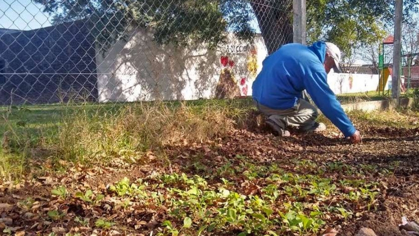 Las herramientas digitales acercaron la huerta y el compost a los cordobeses