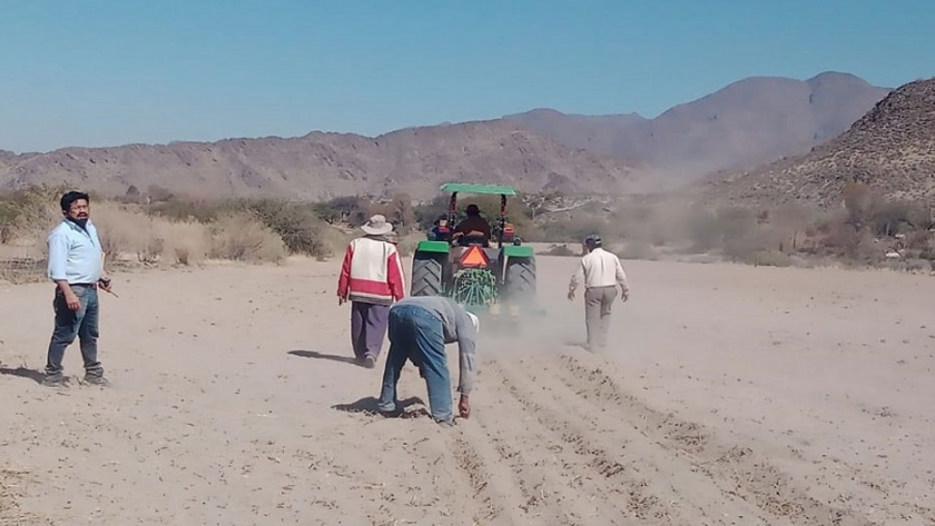 En Cachi capacitaron a pequeños productores sobre práctica de siembra