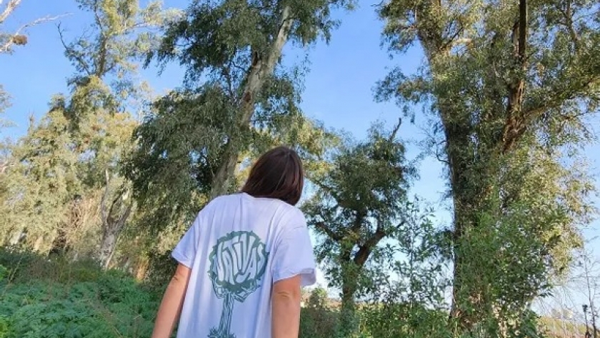 Día del Árbol: por qué se conmemora cada 29 de agosto y cuál es el proyecto que busca plantar 5 millones de árboles junto a productores agropecuarios