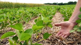 Adoptar agricultura regenerativa ahora tiene premio: lanzan créditos a tasas preferenciales para quienes certifiquen sus prácticas