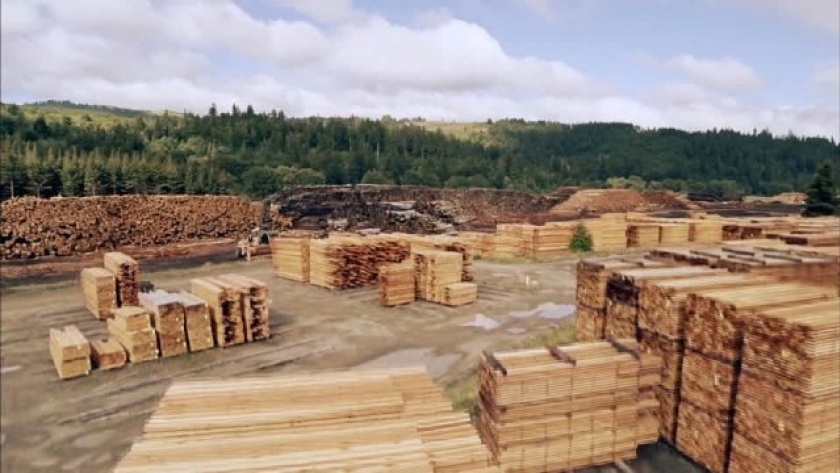La madera industrializada gana terreno en exportaciones