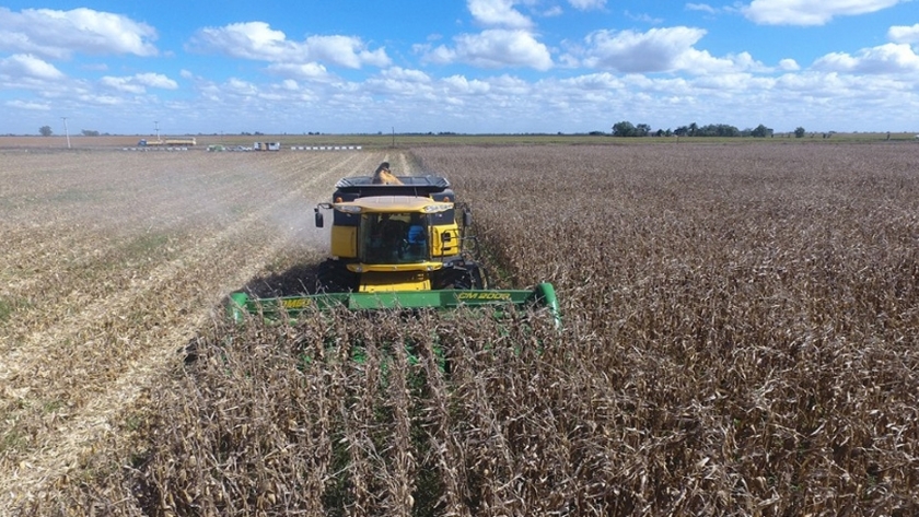 Agro: La Declaración Jurada para circular en Córdoba sigue vigente