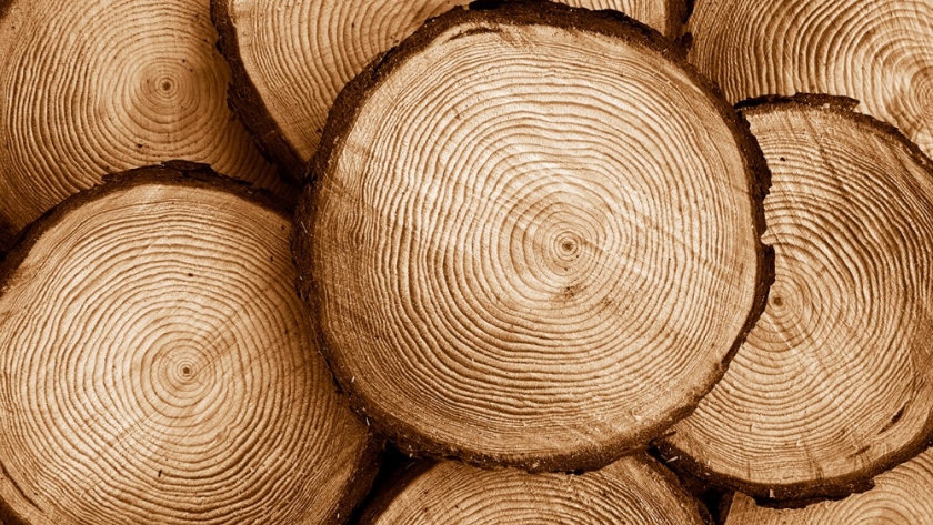 La 6° Expo Madera Entre Ríos participa de la Semana de la Madera en Chile