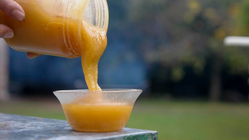 San Luis participó del lanzamiento de la campaña federal “Más miel todo el año”