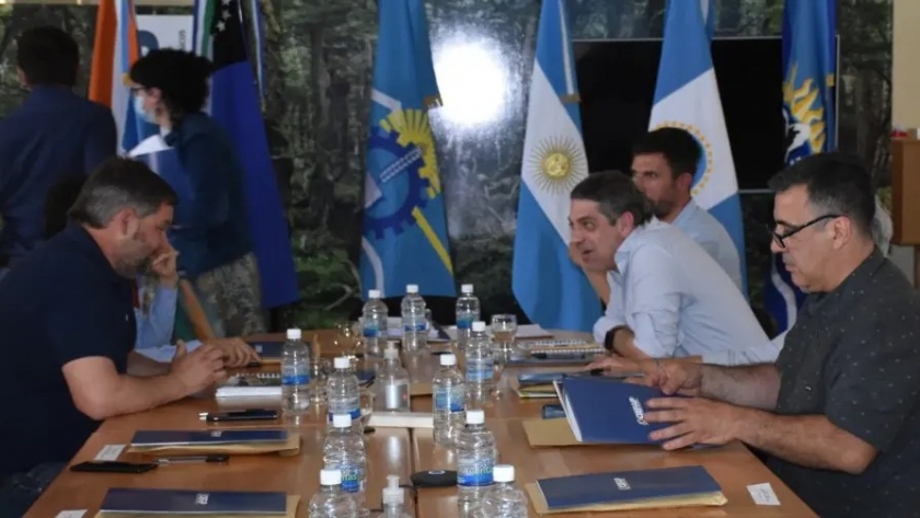 El Sector forestal, con un positivo balance y nuevas propuestas