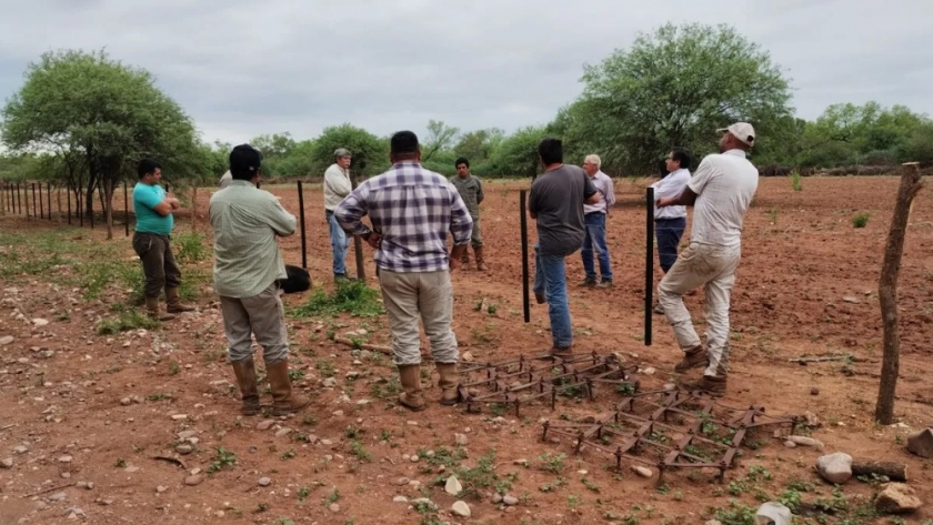 Proyecto para pastura en el 