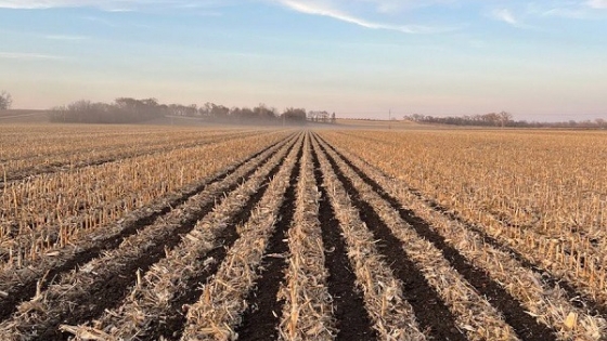 <No existe en Argentina: la particular sembradora que se usó para batir el récord mundial de rinde en maíz