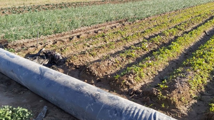 Comienza el ciclo de capacitaciones sobre uso eficiente del agua en riego agrícola