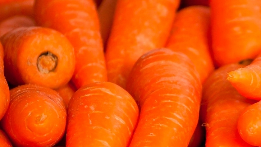 En busca de zanahorias más saludables