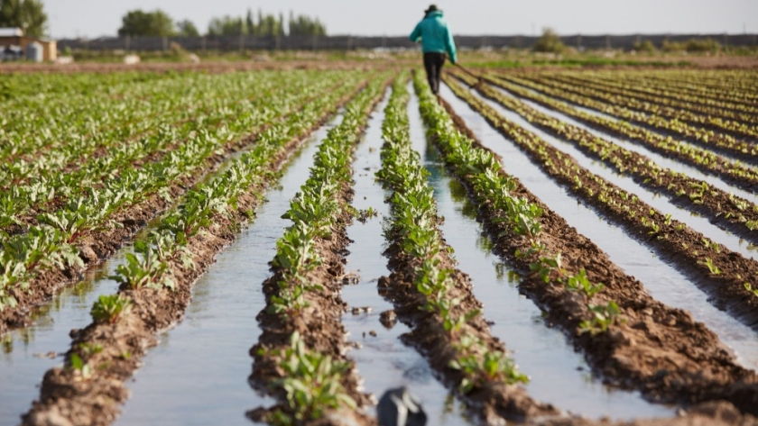 El Seguro Agrícola ya transfirió $181 millones a más de 2 mil productores mendocinos