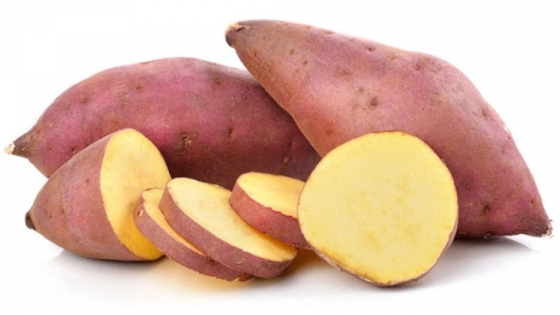 Entre Ríos: cómo lograr un buen rendimiento de batata