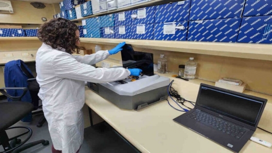 Argentina impulsa el uso de Inteligencia Artificial para identificar variedades vegetales