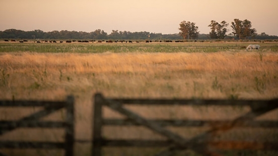 Impulsan una reforma para destinar la mayor parte del impuesto rural a obras en caminos del campo