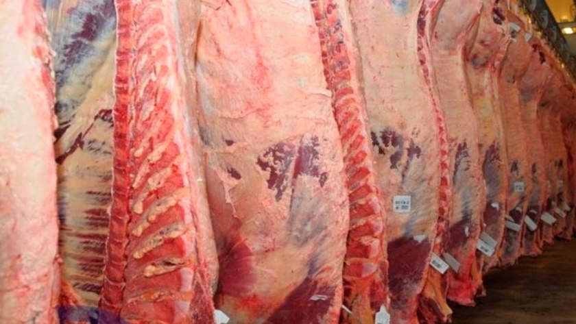 Por el paro del campo, el precio de la carne aumentó hasta 40 pesos por kilo