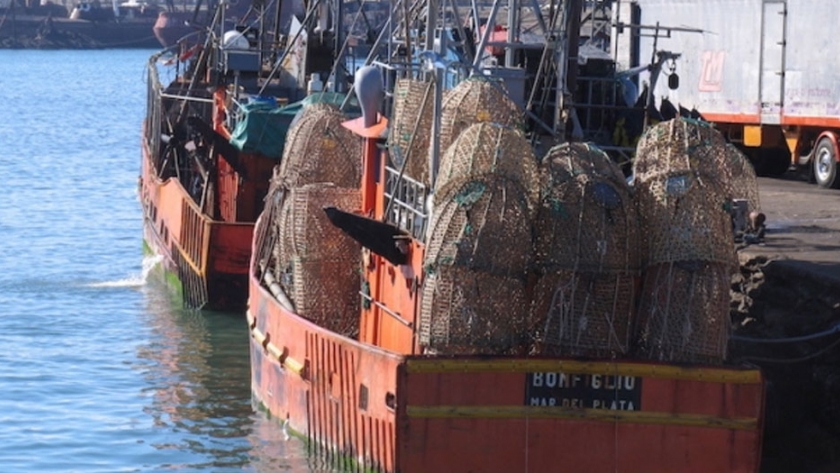Se amplía el plazo para la campaña de prospección de Corvina rubia