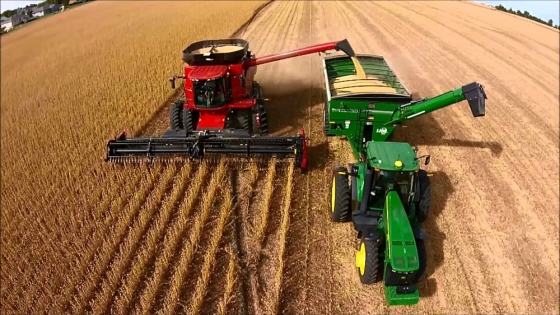 Brasil triplica la producción argentina: las claves de su avance agrícola en 40 años