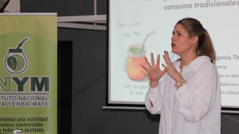 La química del mate