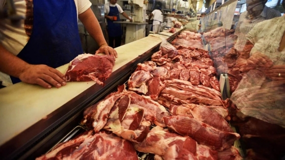 El mercado cárnico se fragmenta: crece la distancia entre los precios del cerdo y la carne vacuna