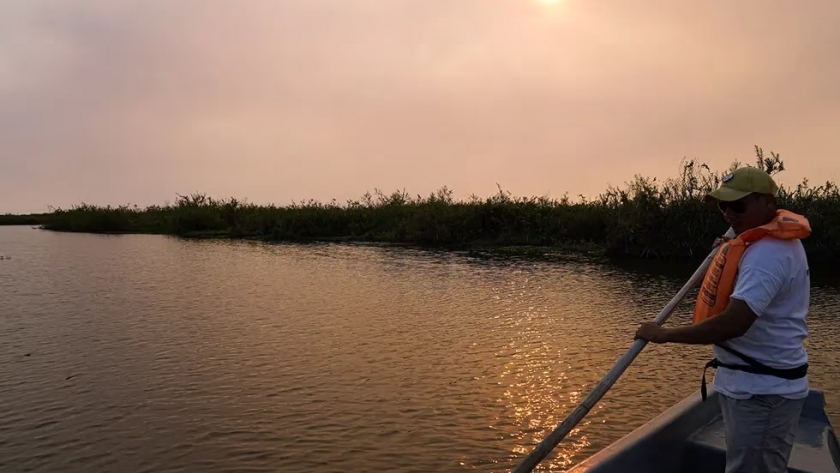 Esteros del Iberá, uno de los mejores lugares de ecoturismo en Argentina