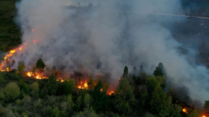 Emergencia en la Patagonia: nuevo incendio forestal amenaza el Parque Nacional Nahuel Huapi