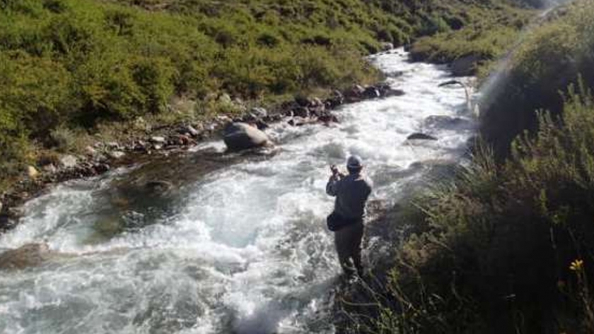 Alga Didymo: Habilitación adicional obligatoria "Zona de Pesca Diferencial"