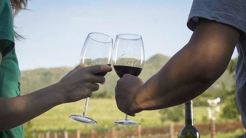 Caminos del vino de Córdoba: la Provincia homenajeó a los vinos cordobeses