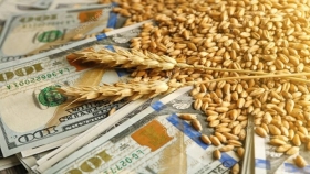 Advierten «acciones poco transparentes» en la intervención del mercado de trigo