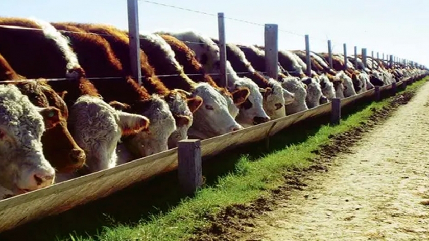 Desarrollan una tecnología low cost para producir energía en el campo