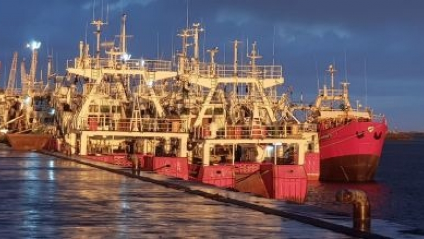 La actividad pesquera de Santa Cruz se consolida y continúa en crecimiento