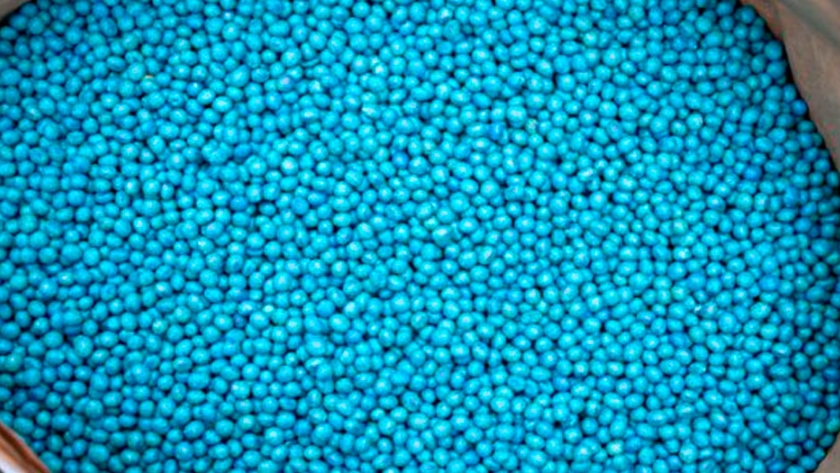 La producción de semilla de soja contempló 350 mil hectáreas en nuestro país