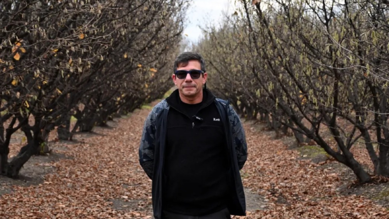 De las trufas a las avellanas: la apuesta que rindió en Río Negro