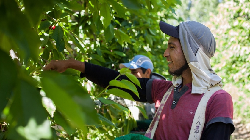 El Renatre cambia su modalidad de pago