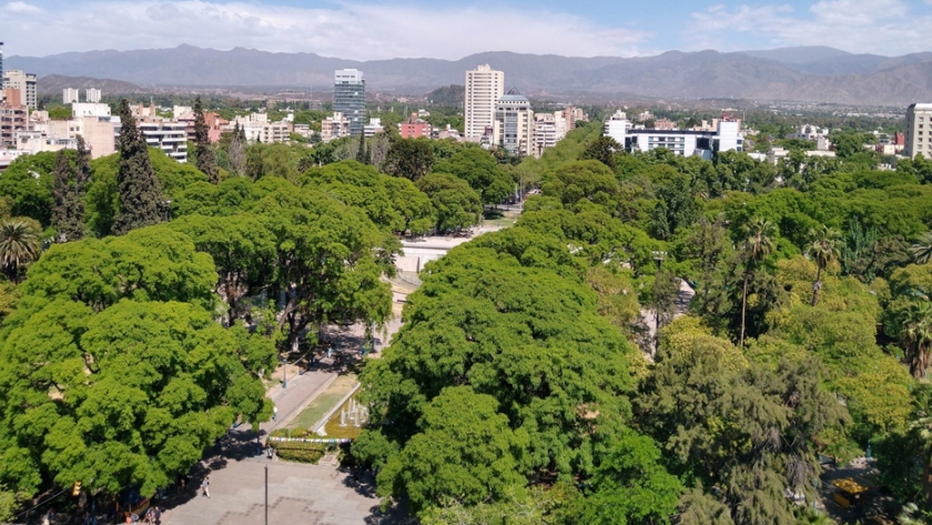 Comienza el Censo del Arbolado Público en el Área Metropolitana