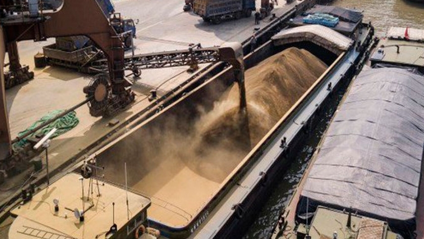 En marzo la agroexportación liquidó más de mil millones de dólares