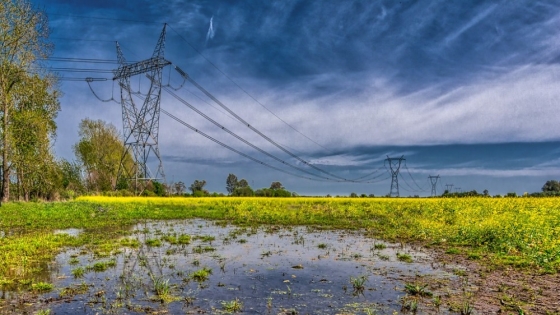 Lima, el pueblo ribereño a menos de una hora de CABA con playas y parrillas para una escapada de verano