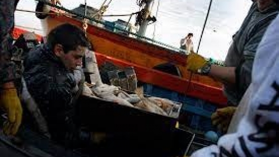 Fijan cupos máximos para la pesca de la corvina en el frente marítimo argentino-uruguayo