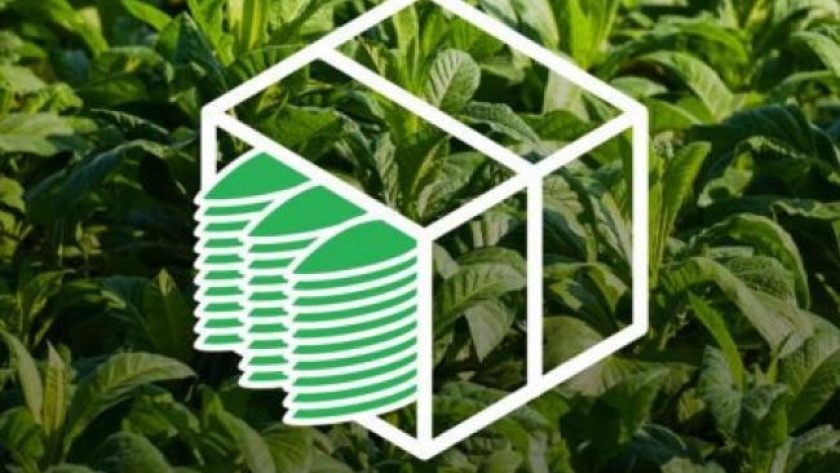 Inicia el pago de $200 millones de caja verde a tabacalero