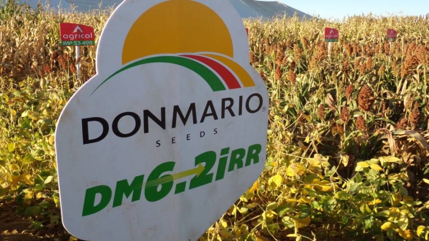 Don Mario Semillas apuesta a crecer en los EE.UU