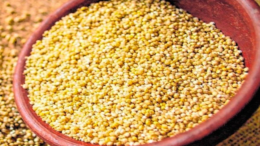 Jujuy le pone valor agregado al cultivo de la quinoa