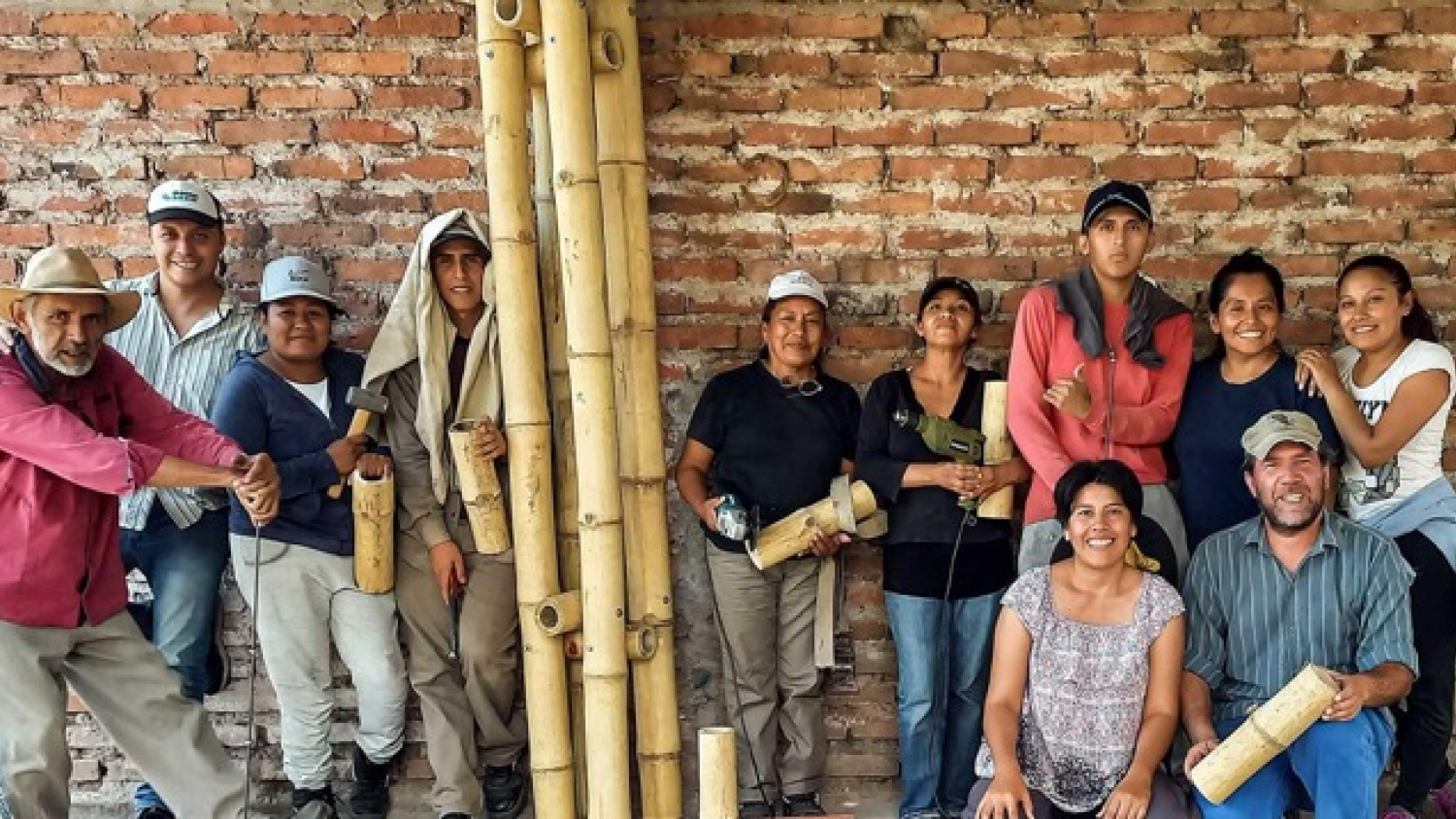 Cultivo de bambú en las Yungas jujeñas: cómo buscan crecer