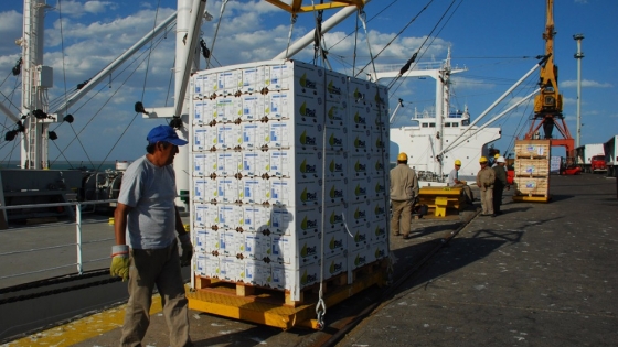 Daño colateral: caen las exportaciones de peras y manzanas a Rusia