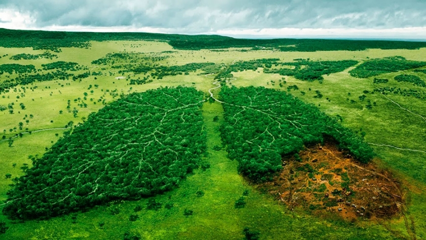Agricultura y cambio climático 