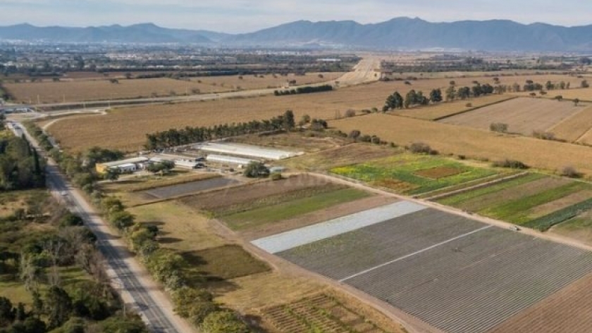 Avanza proyecto para sacarle tierras al INTA para lotearlas