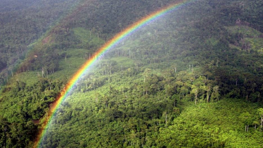 Más de 51 millones de hectáreas estadounidenses podrían ser reforestadas