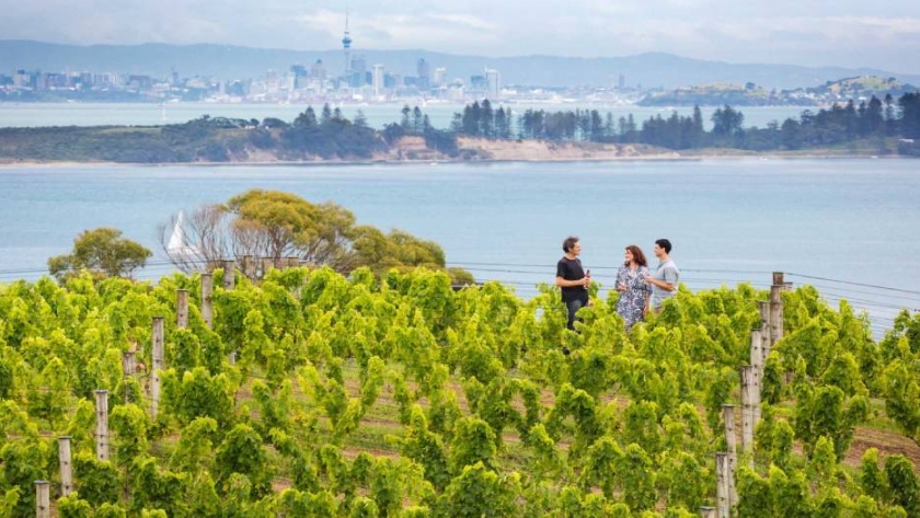 Un buen vino en Auckland