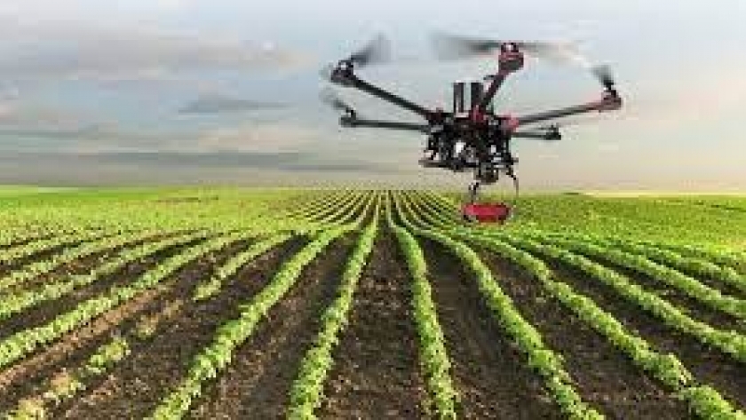 AgTech: Argentina recibe tres premios internacionales por su contribución a una agricultura sustentable