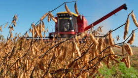 Finalizó la cosecha argentina de soja con una producción total de 49,6 millones de toneladas