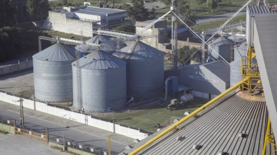 Argentina exportó 46 mil toneladas de harina de soja libre de deforestación a Europa