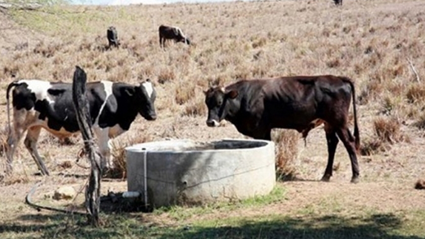 Sequía en Misiones: "Debemos evaluar las pérdidas antes de declarar al sector agropecuario en emergencia", afirmó Oriozabala