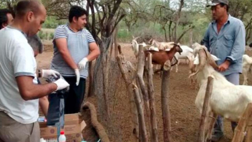 Cuenca Robles: experiencias de un Grupo de Abastecimiento Local